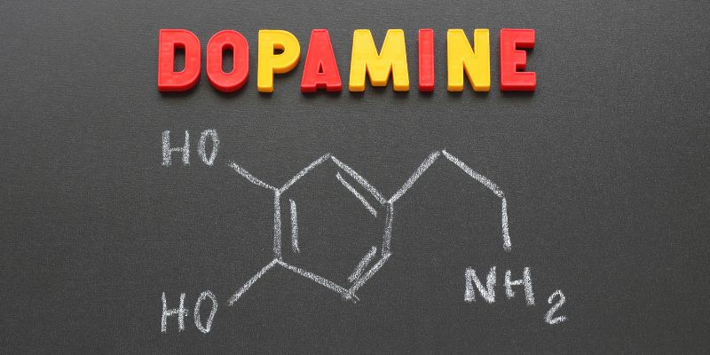 dopamine không phải là chất dẫn truyền của sự hưởng thụ