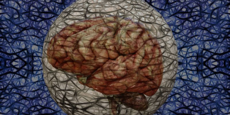 hiệu ứng dopamine trong các trò chơi vòng quay may mắn